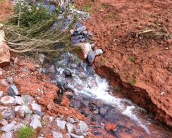 Gewaesserrenaturierung