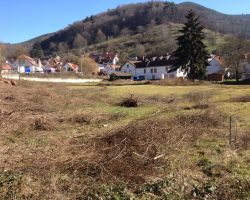 Gewaesserrenaturierung