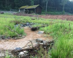 Gewaesserrenaturierung